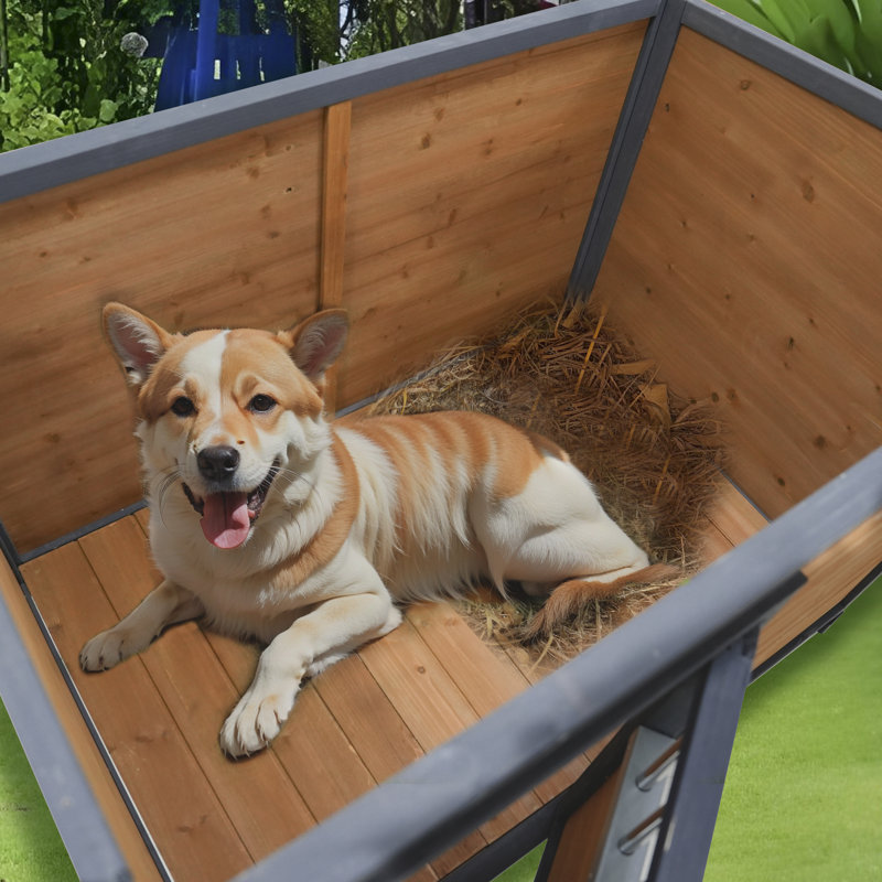Grande niche pour chien en bois massif 45 po, toit en plastique PVC imperméable, portes en bois respirantes