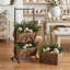 Gracie Oaks Decorative Bin