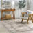 Acelynn Distressed Traditional Area Rug-1325741078