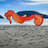 40" Seahorse 3D Windsock