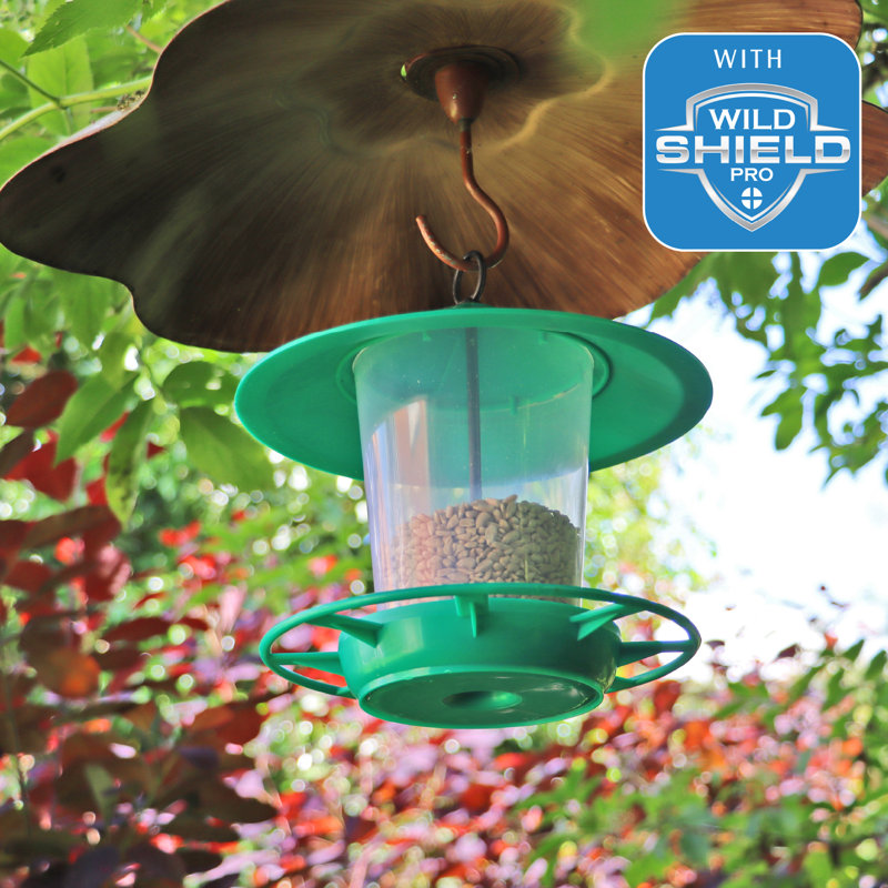Katalina Hanging Tube Bird Feeder