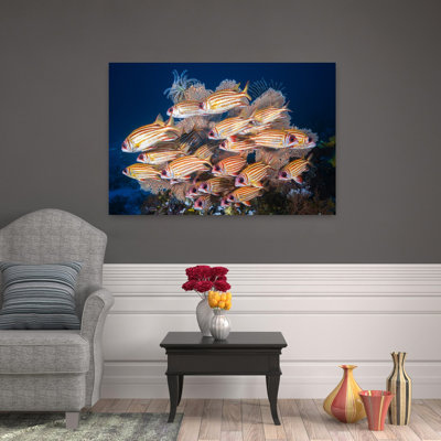 School Of Red Fish Colorful Vibrant Fish Nature Ocean Wall Art Print