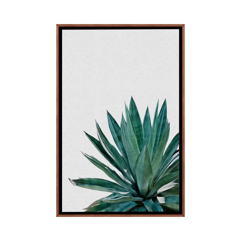 « agave cactus »-impression photographie, Toile avec cadre en bois classique, H 26 po x l 18 po x 1,5 po