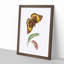 Caterpillar & Cassia Butterfly by George Shaw - Picture Frame Graphic Art Print-55513550-55513551