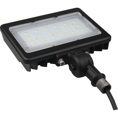 LED Flood Light