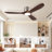 CEILING FANS LIGHT