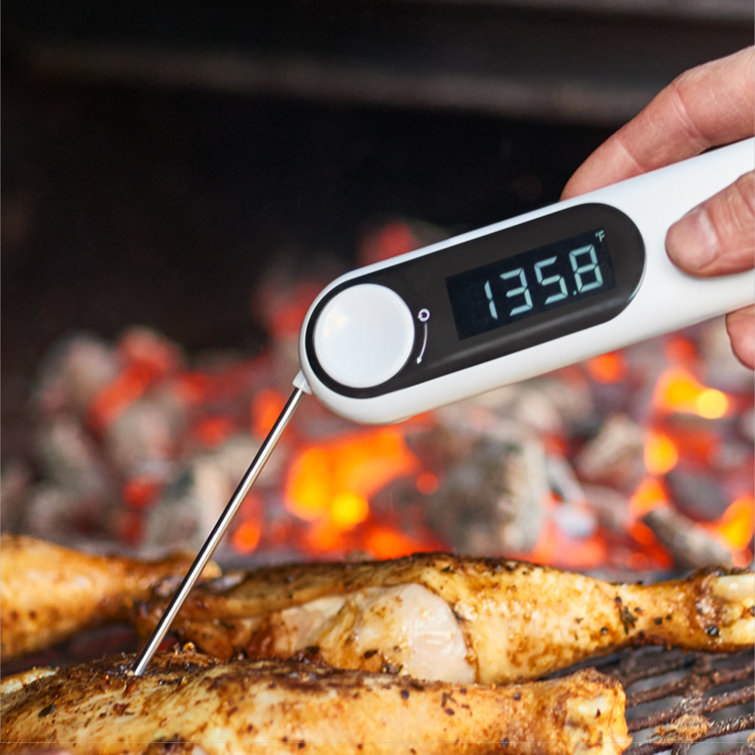 https://assets.wfcdn.com/im/43075247/resize-h755-w755%5Ecompr-r85/2150/215008943/OXO+Thermocouple+Oven+Digital+Meat+Thermometer.jpg