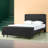 Schreffler Upholstered Standard Bed with Footboard Storage-369415522