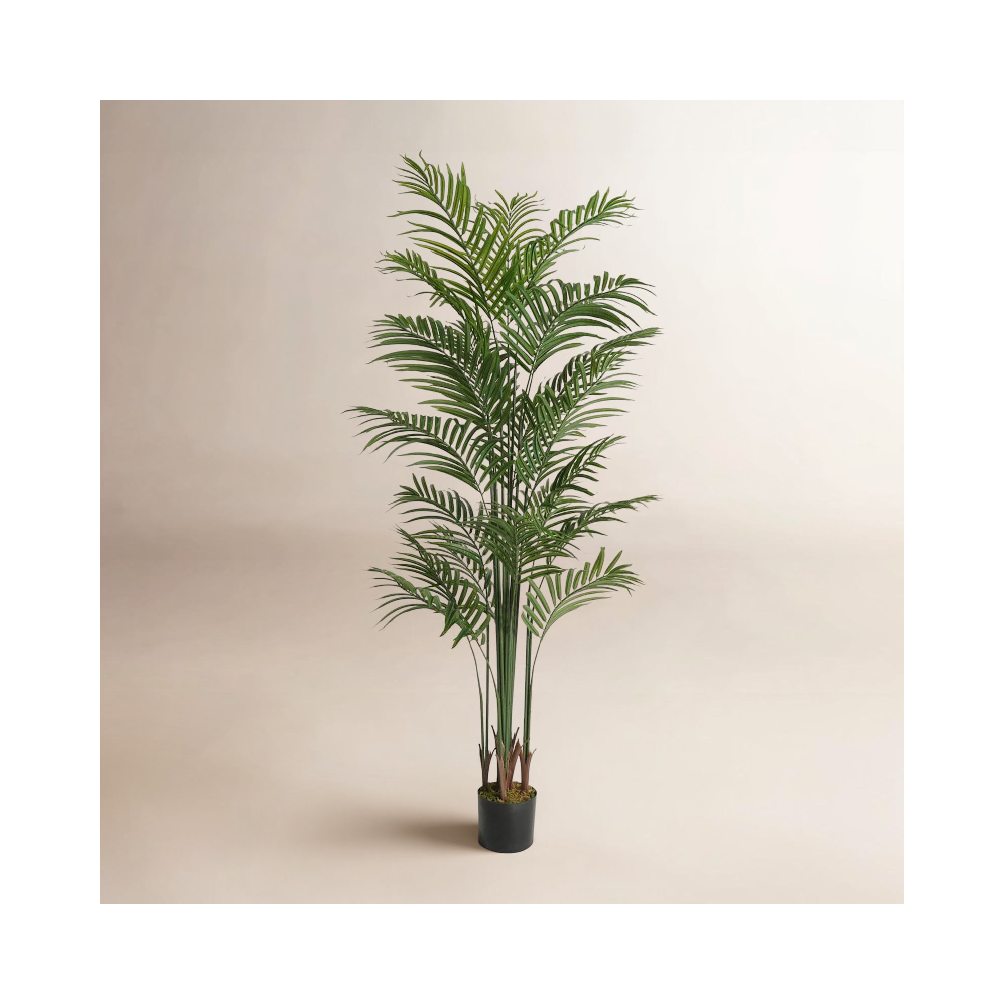 Birch Lane™ Artificial Palm Tree, Faux Dypsis Lutescens Plant in Pot with Dried Moss, 5 / 6 / 7 Feet