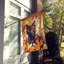 Chat en feuilles d'automne-112700542