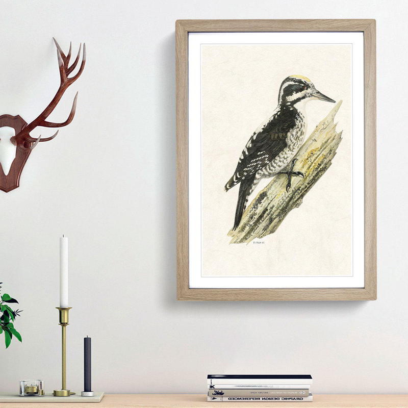 A Three-Toed Woodpecker by Von Wright - Framed Print, 33cm H x 24cm W x 2cm D, Oak Framed