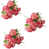 Rose rouge est en rupture de stock