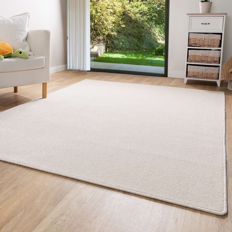 Aspermont Solid Colour Area Rug, Rectangular 40 x 60cm