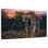 Giraffe A Mothers Love