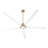 Audey 80'' Ceiling Fan-2061610646