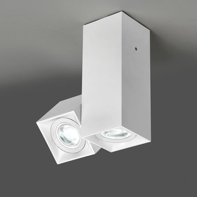 Dau 2-Light Spotlight