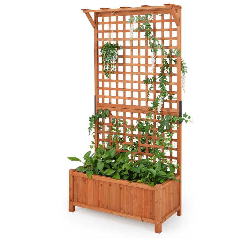Pachl Vertical Garden with Trellis