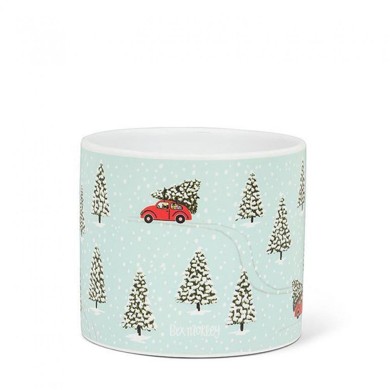 Aquasco Ceramic Cachepot, 4" H x 4.5" W x 4.5" D