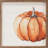 Offset Orange Pumpkin White-1560162798