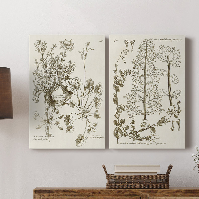 Toile tendue avec châssis sépia Botanical Journal, H 12 po x l 8 po