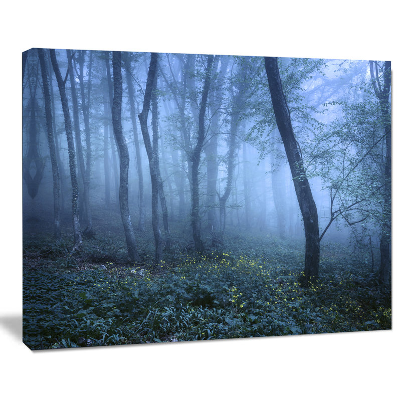« trail through blue automne forest », reproduction de photo sur toile tendue, H 20 po x l 20 po x P 1 po