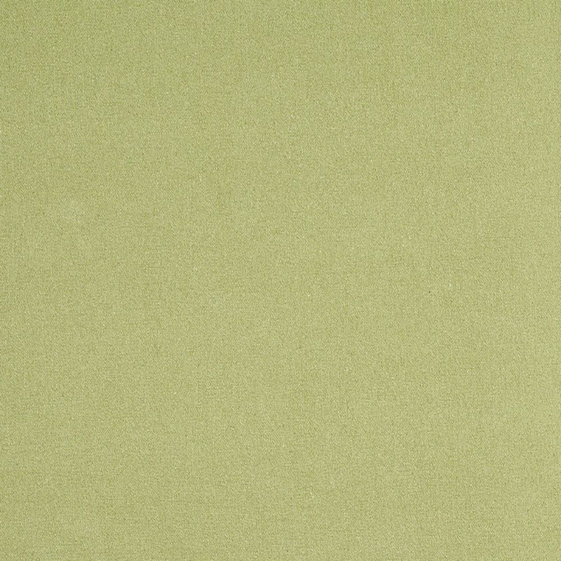 Albert Performance Cotton Fabric, Green