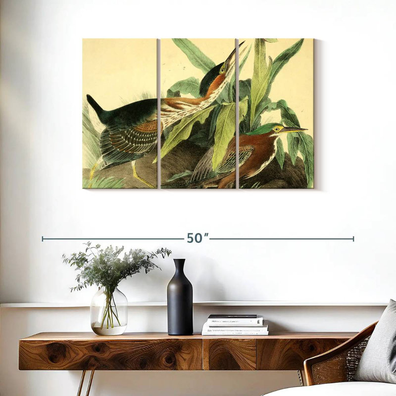 Bramon, héron vert d'oiseaux d'Amérique, H 24 po x l 38 po