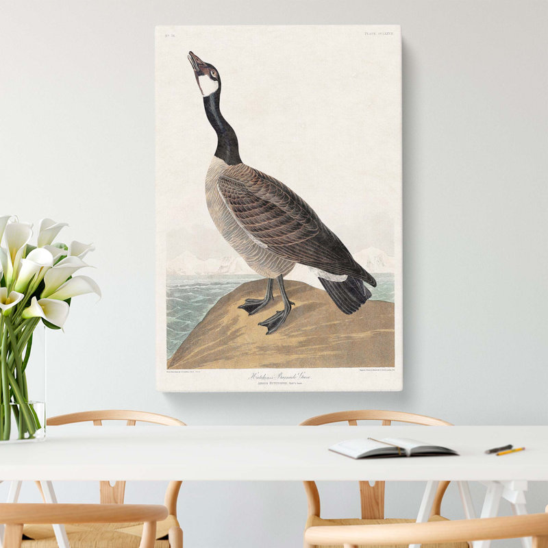 Hutchins Barnacle Goose by John Audubon - Wrapped Canvas, 60cm H x 40cm W x 3cm D