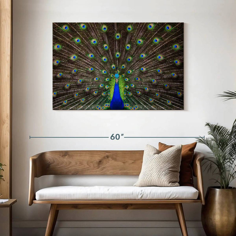 Crowle Perfectly Poised Peacock, 30" H x 45" W