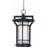 Kines Outdoor Hanging Lantern