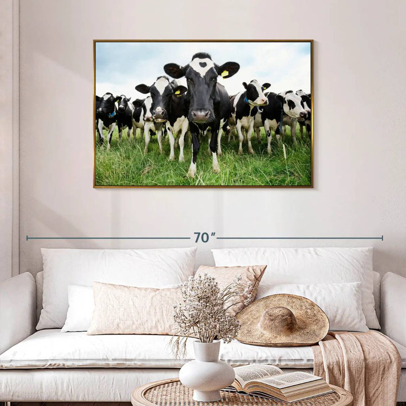 Vaches Holstein, Cadre flottant doré, 43 po x 29 po