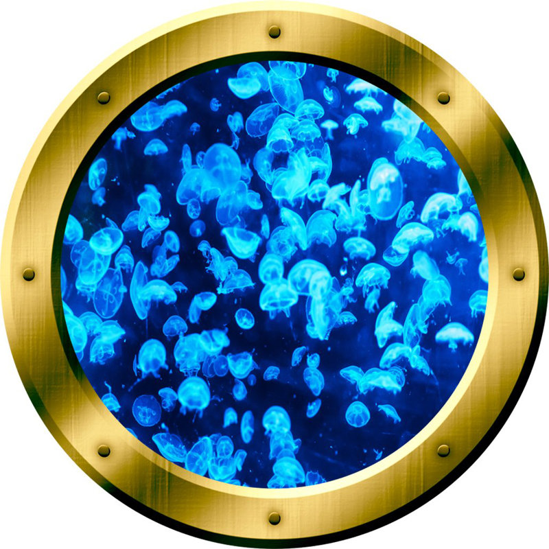 Décalcomanie murale 3d jellyfish hublot, H 14 po x l 14 po x P 0,01 po, Bleu