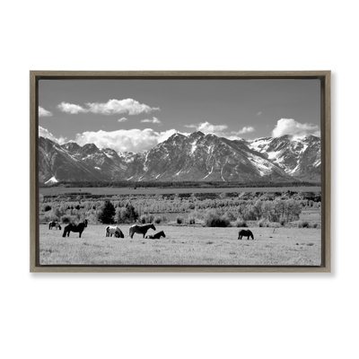 Wyoming Ranch Horses Grazing Floating Frame, design by Steve Toole