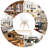 Anylia 18'' H Side Chair