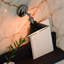 Armed Sconce-185181557