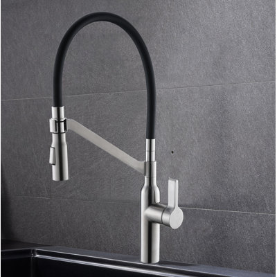RAEN Marigold Pull Out Kitchen Faucet