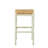 Chiem Counter Stool with Solid Wood Frame-17684084-46501370