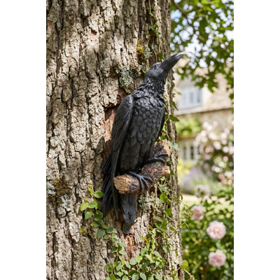 Raven's Perch Wall Décor
