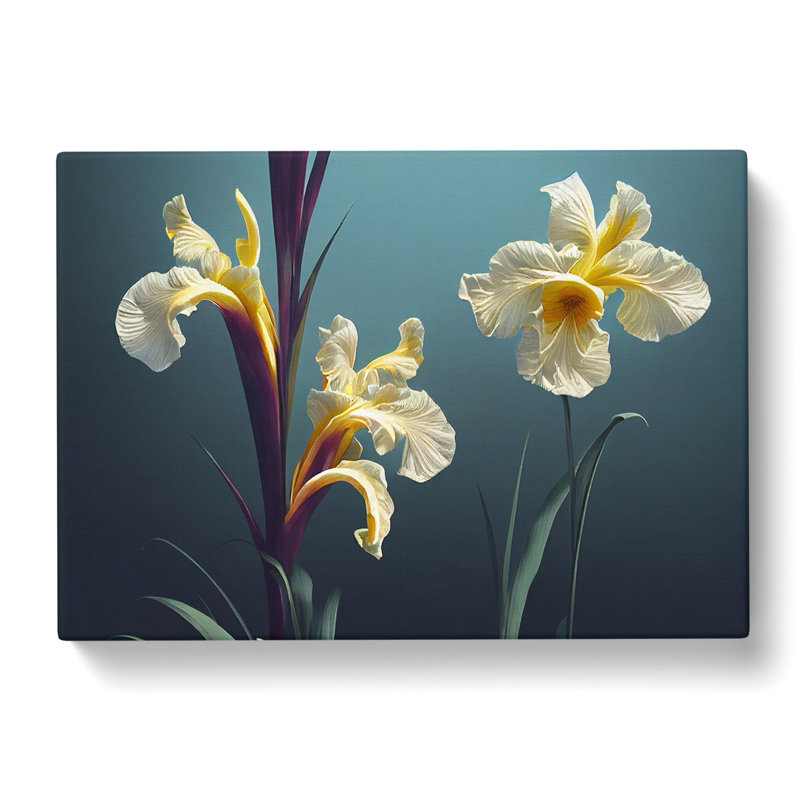 Thrilling Iris Flowers - Wrapped Canvas, 50cm H x 76cm W x 3cm D