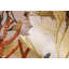 Lycette Bora Bora Coral Inspired 8.5 m x 70cm Wallpaper Roll-1113134331