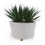 Dynasty Center Basin-1530202399