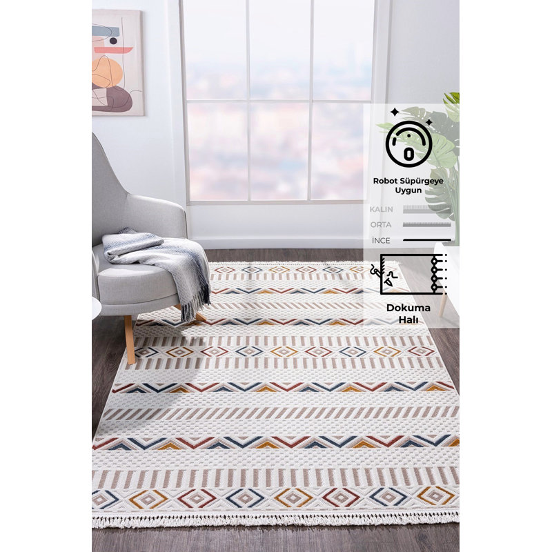 Adiyan Machine Made Indoor / Outdoor Area Rug, Rectangle 2'8" x 4'11"