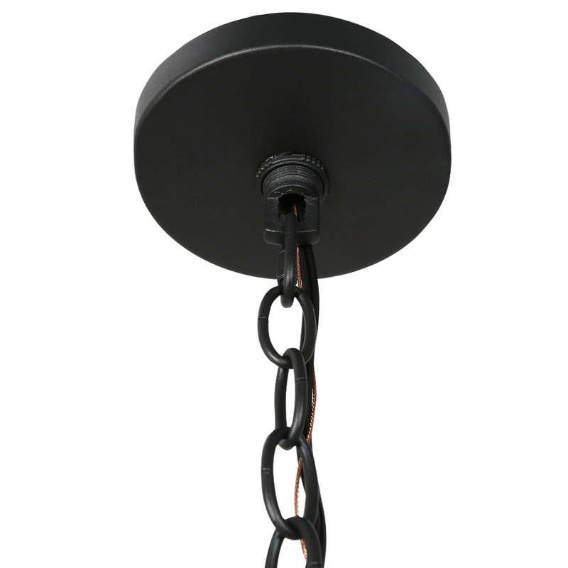 Maricela Outdoor Hanging Lantern
