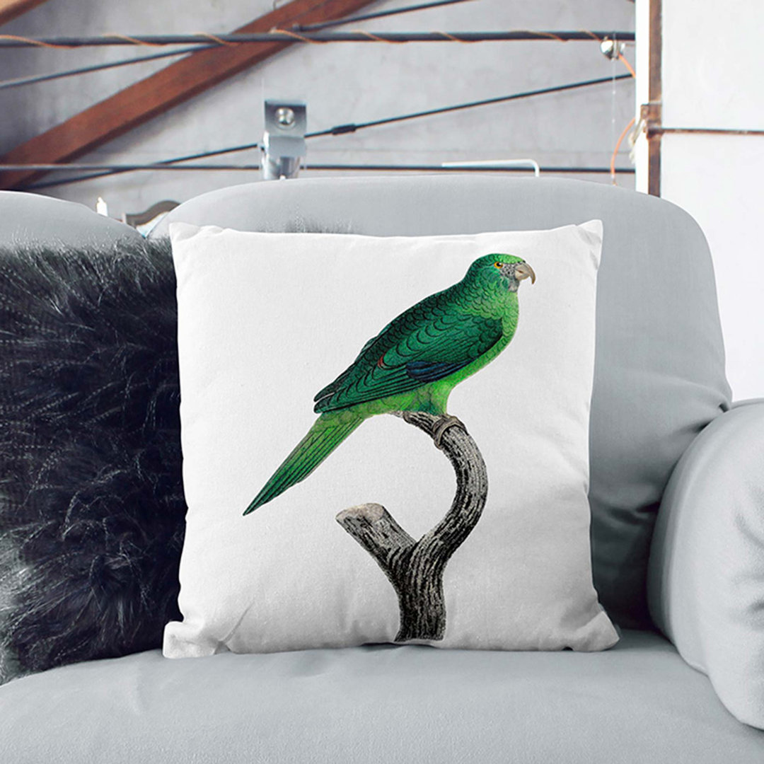 Cheeked Parakeet by F. Levaillant Cushion with Filling