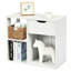 Emmalie Floor Shelf End Table