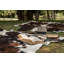 Tapis brun / blanc en cuir de vache Paladin