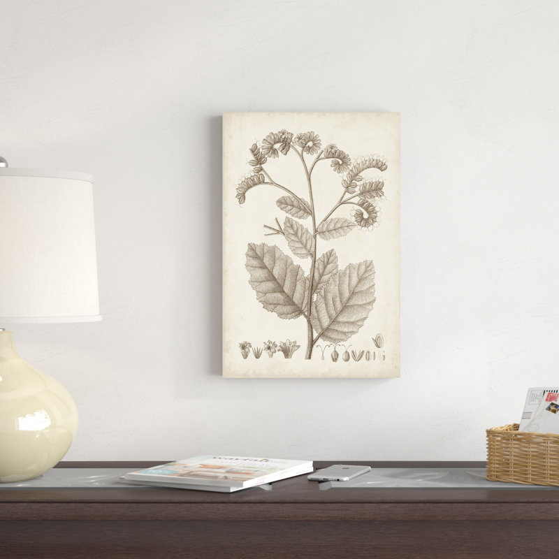 Botanique antique sépia IV, H 18 po x l 12 po