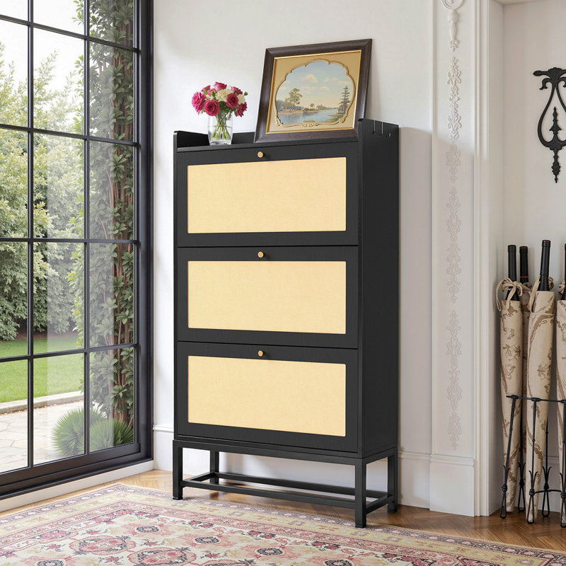 Armoire de rangement pour chaussures Slim, Noir