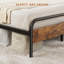 Lit Walsie-1523252356-1523252359