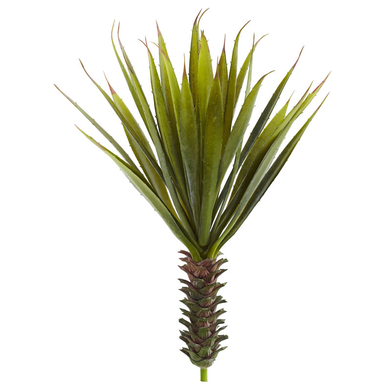 18'' Succulent/Agave Succulent
